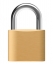 padlock Logo