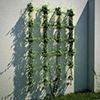 Rectangle Wall Mount Trellis - 30790-0000 