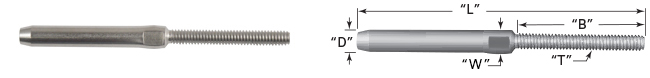 Schematic Picture