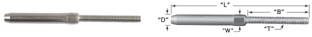 Schematic Picture