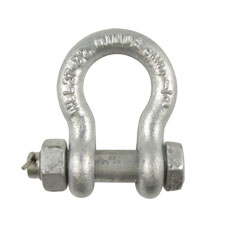 1/2" Bolt Type Anchor Shackle (Galvanized) 